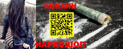 a pvp Новодвинск