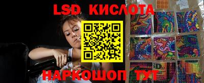 a pvp Новодвинск