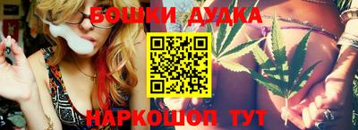 a pvp Новодвинск