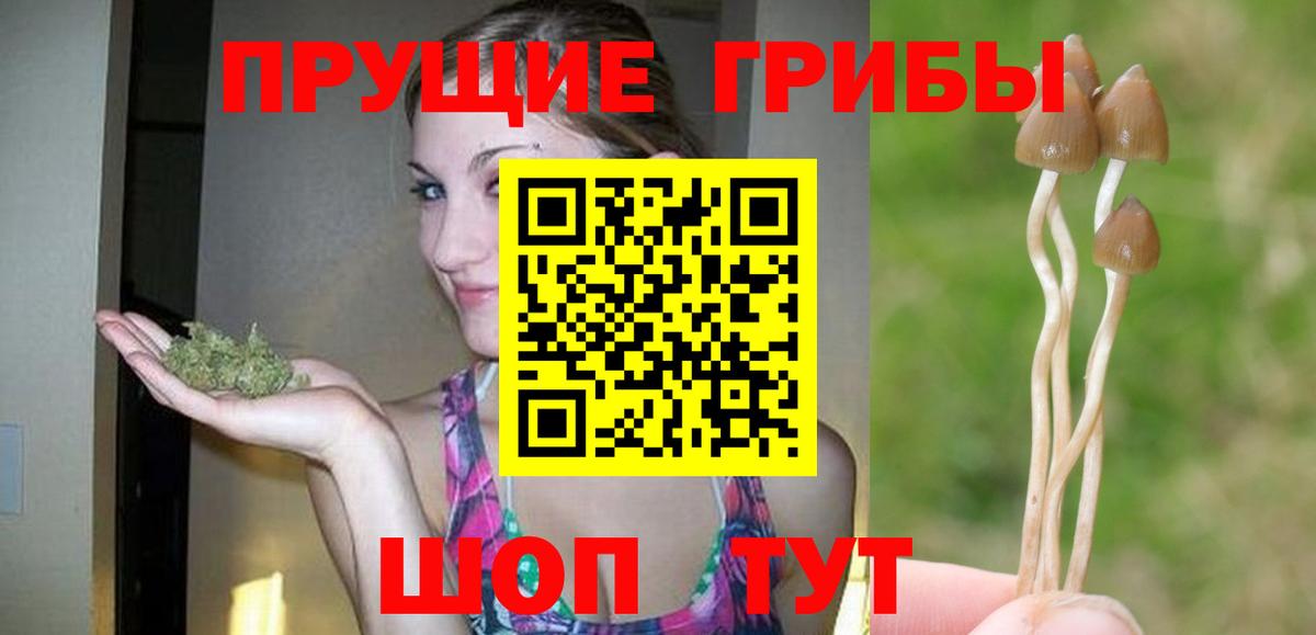 Северск  Псилоцибиновые грибы Psilocybine cubensis  магазин    Вход с VPN 