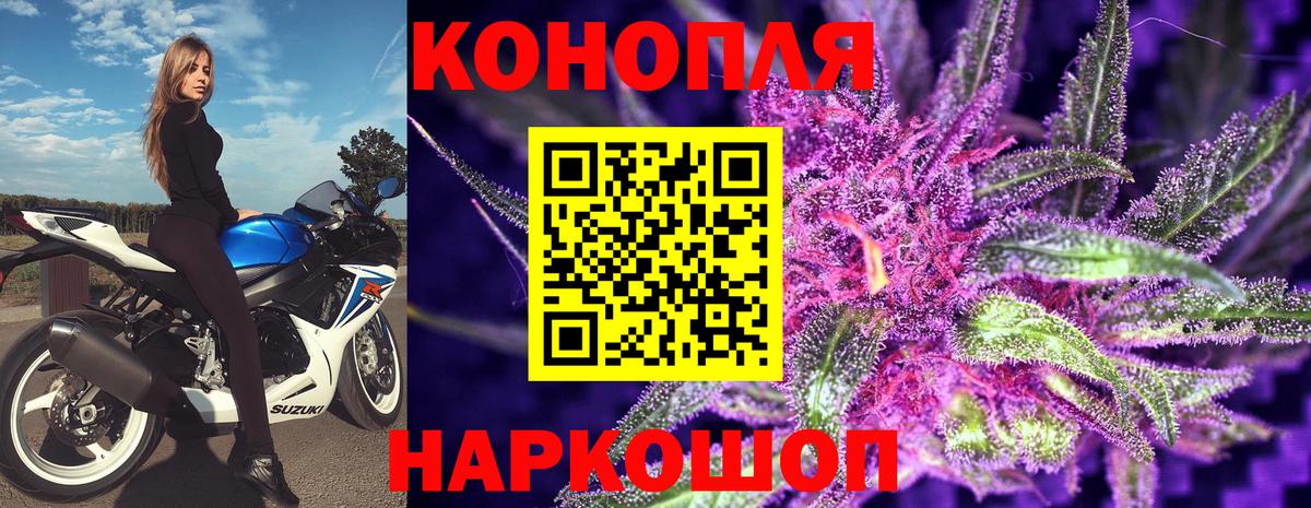 Бошки марихуана сатива Северск